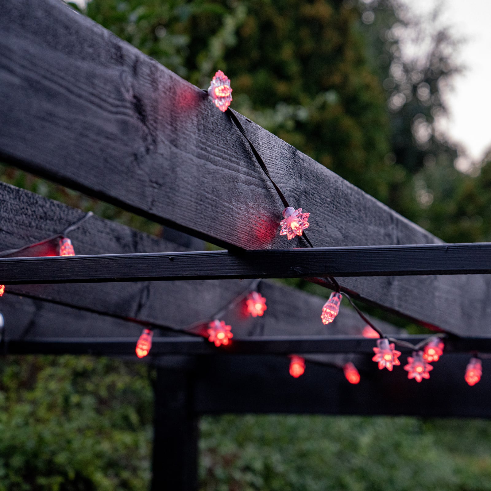 LED lyslenke 50 stjerner RGB dimbar Lite Bulb Moments detalj av stjerne