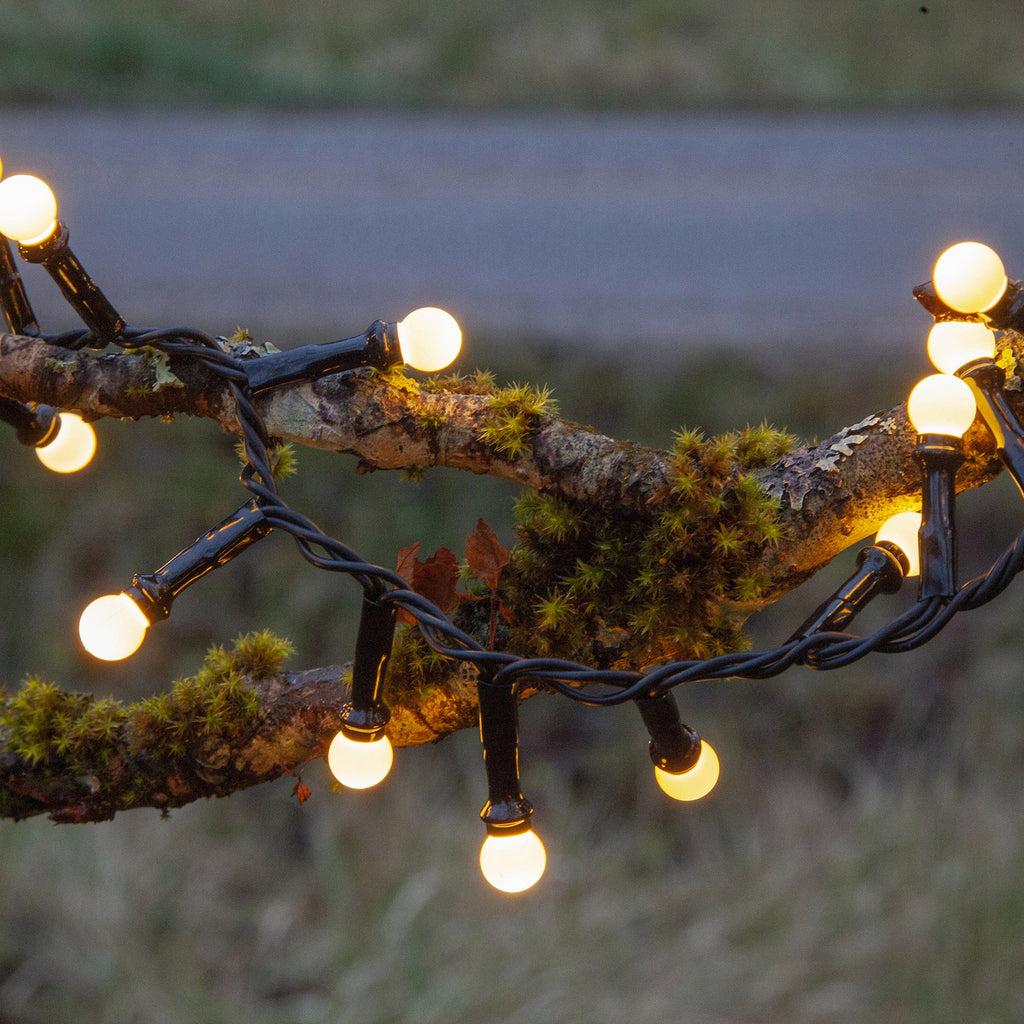 Nærbilde av LED-lyslenke Berry Mini med timer IP44 hvit 6 m LED-lys