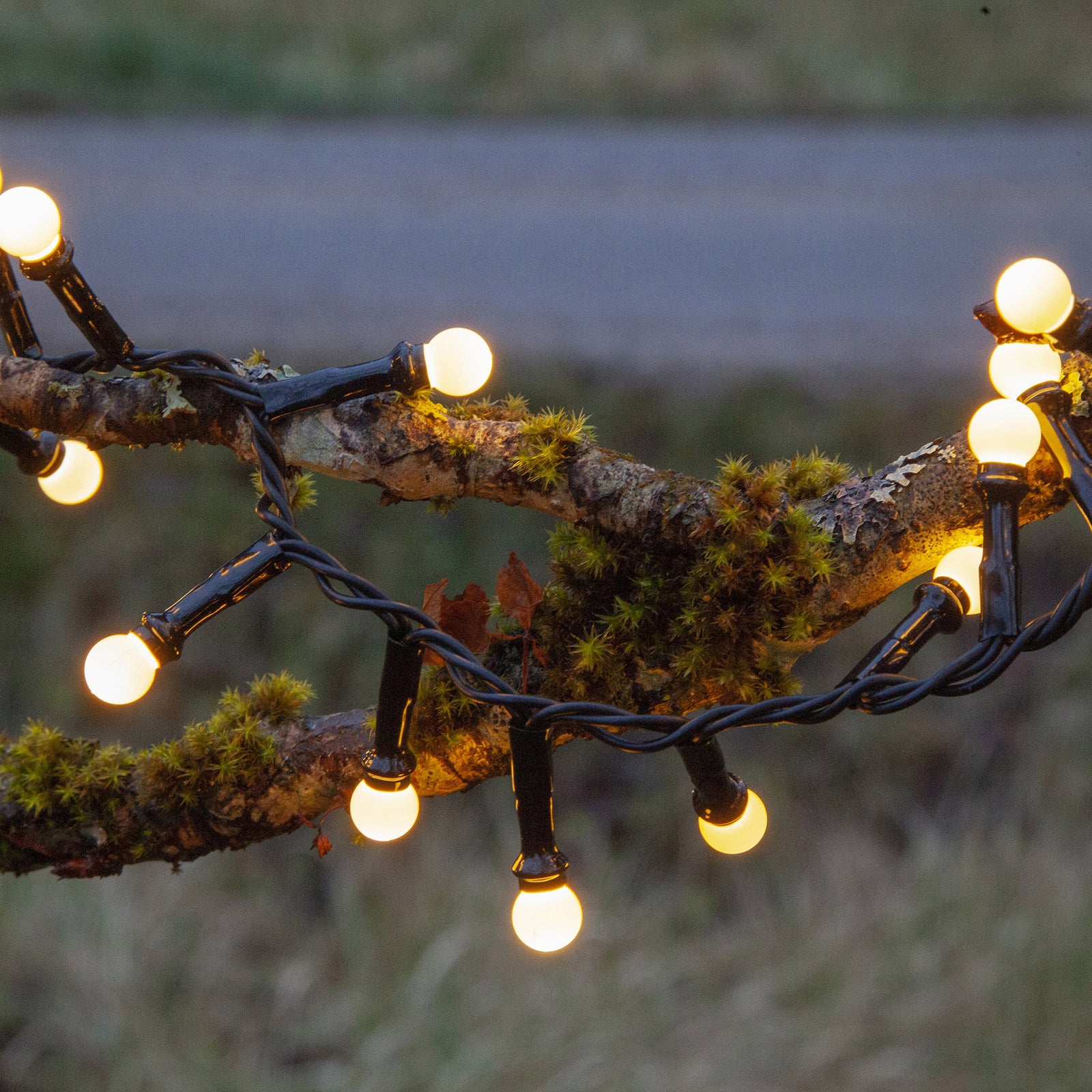 Nærbilde av LED-lyslenke Berry Mini med timer IP44 hvit 6 m LED-lys