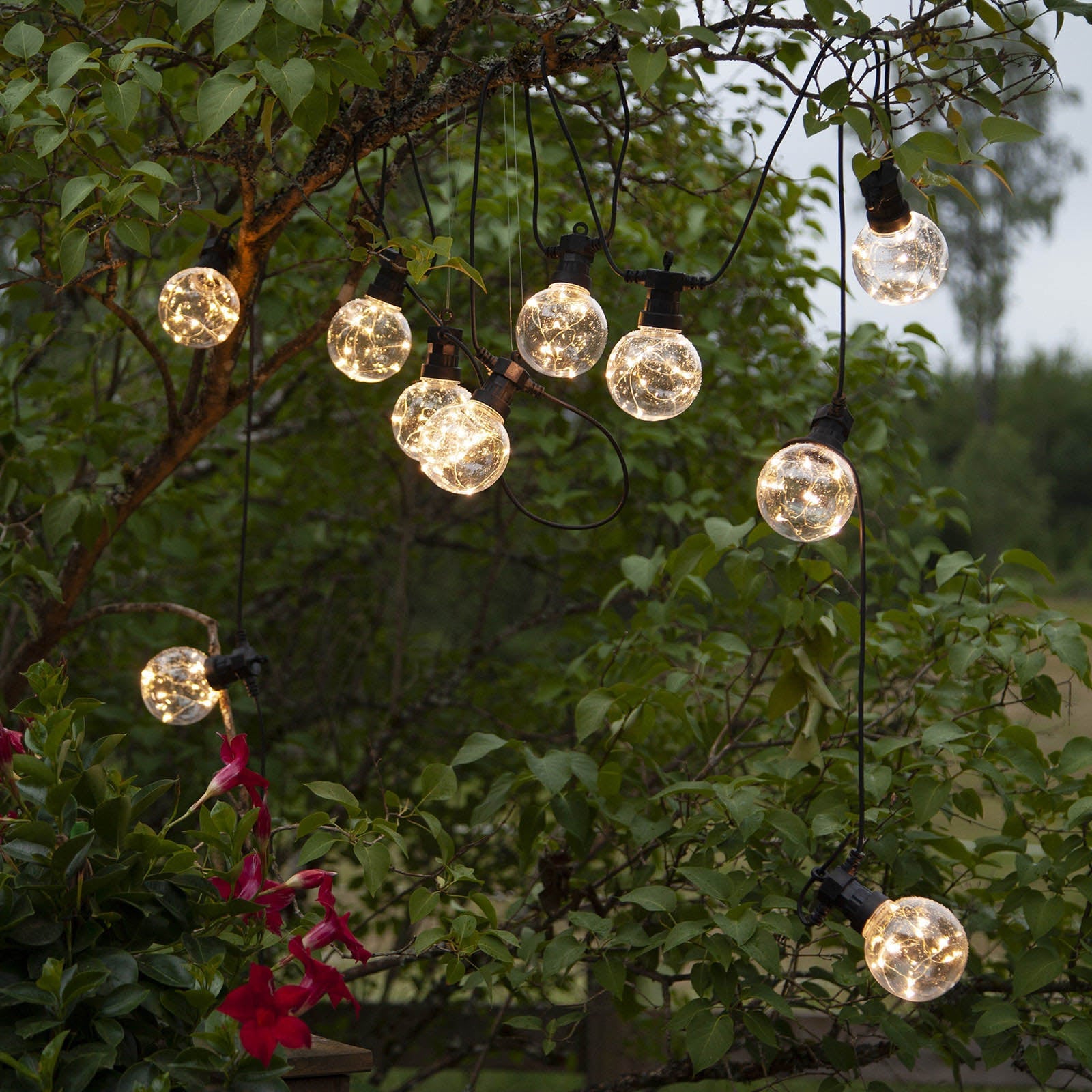 LED-lyslenke Big Circus Dew Drops 10-lys IP44 fra forsiden