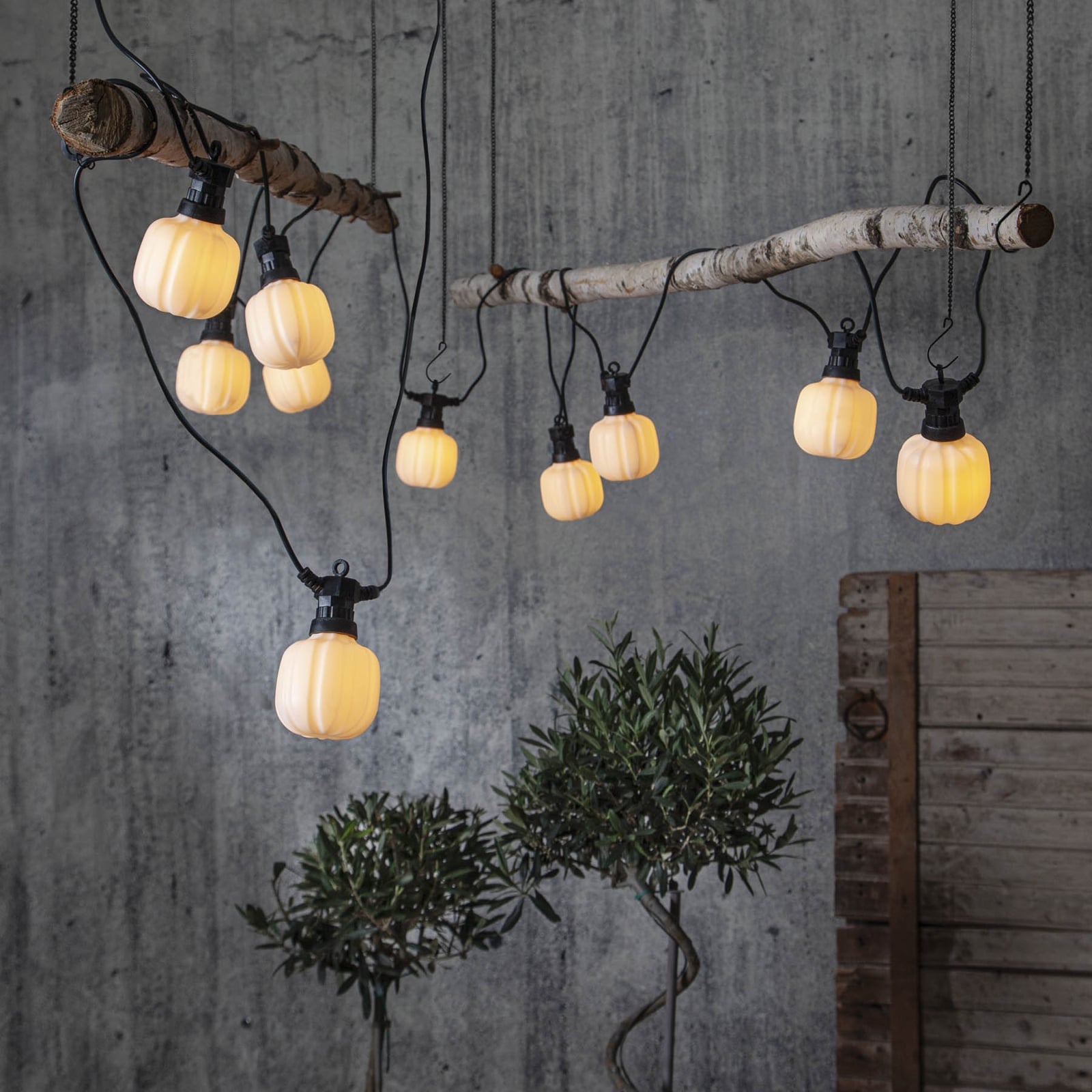 Montering av LED-lyslenke Circus Maxi 10 frostede kupler IP44