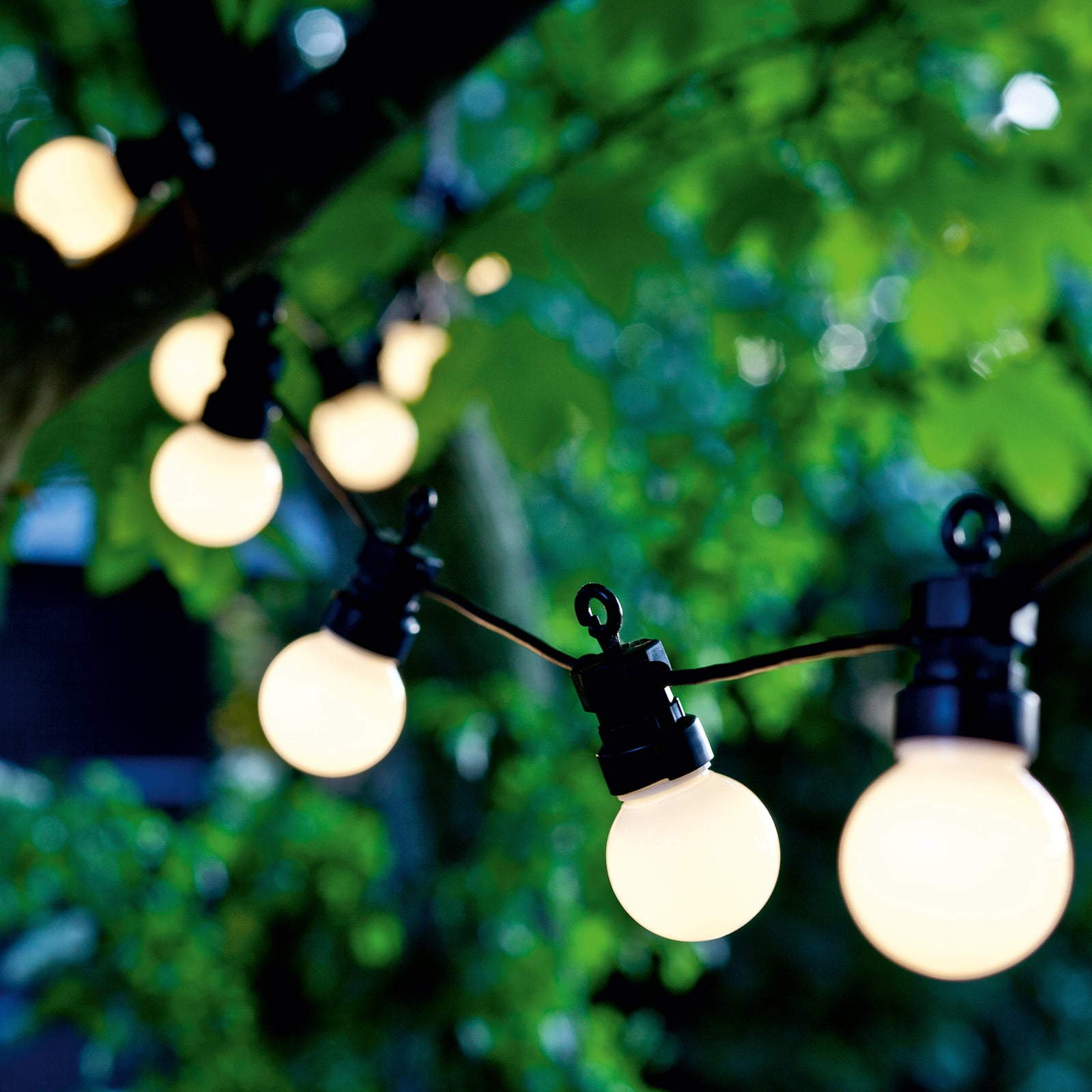 LED-lyslenke Lucas startsett 10 lys frostet IP44 detalj av frostede lys