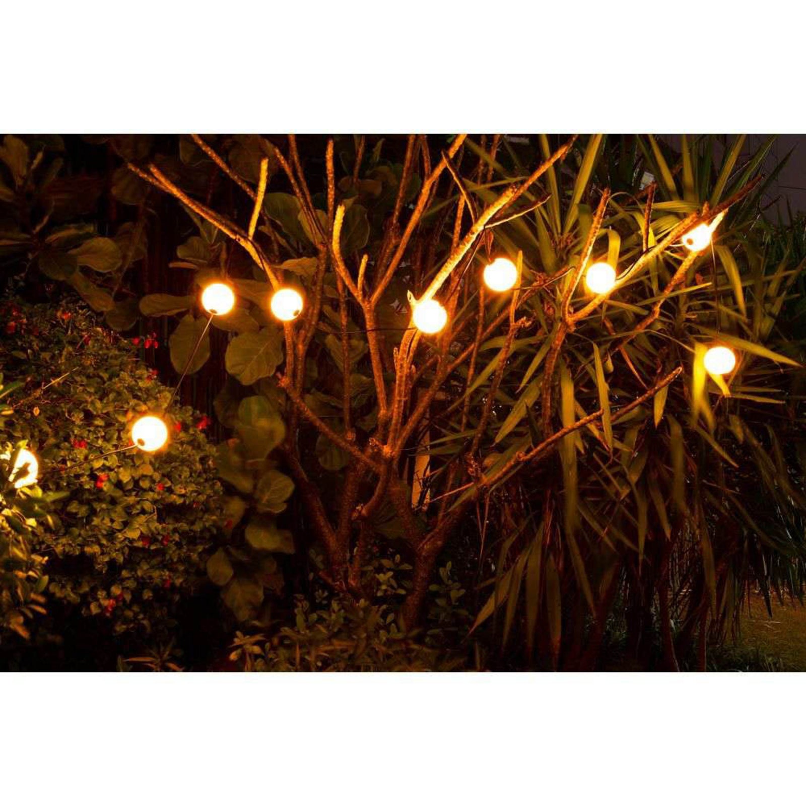 LED lyslenke Miss Garland 12-lys 986 cm IP44 pakket i eske