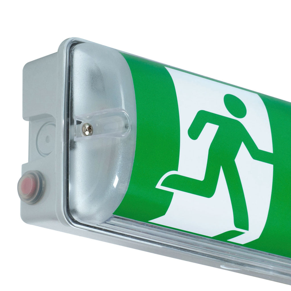 LED nød- og sikkerhetslampe V-LUX STANDARD ECO IP65 - B-Safety detalj