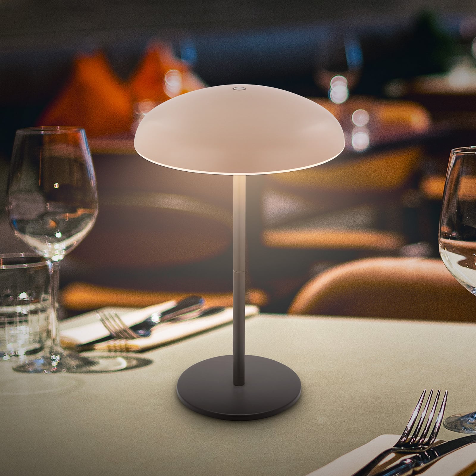 LED oppladbar bordlampe Caxa 30 dimbar beige/antrasitt IP44 front