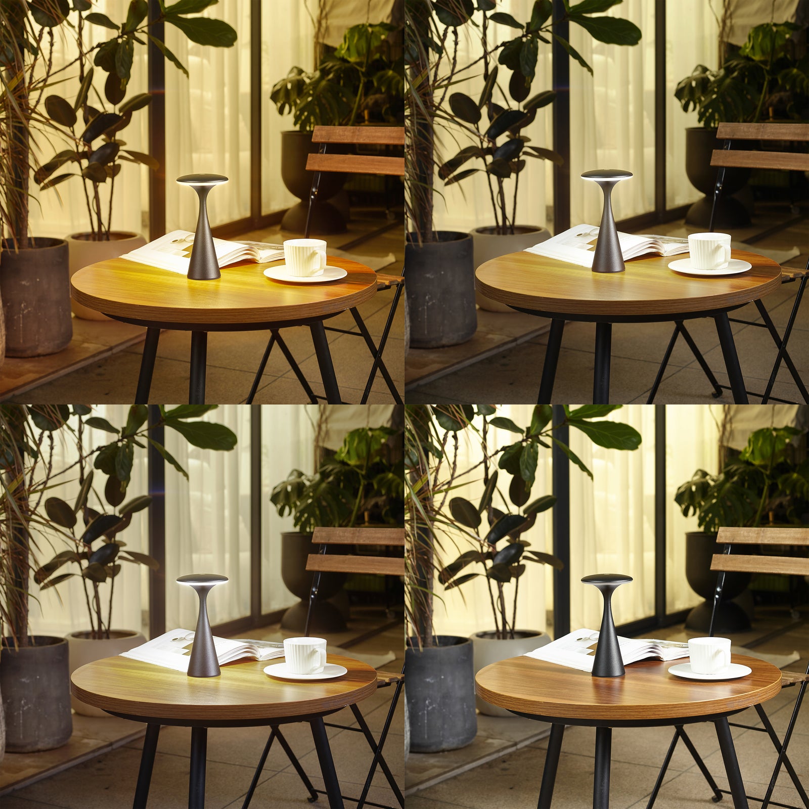 LED oppladbar bordlampe Evelen svart CCT dimbar IP54 detalj av knapp