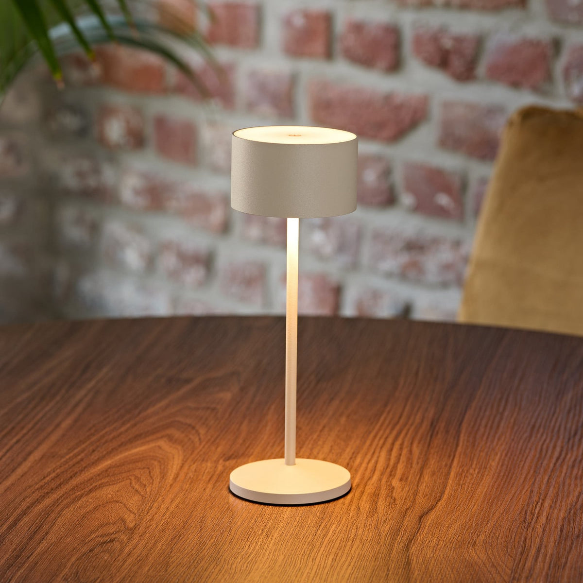 LED oppladbar bordlampe Veluna beige IP44 dimbar CCT bakside