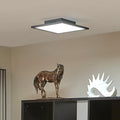 LED-panel Lamin dimbar CCT fjernkontroll 30 cm svart forfra