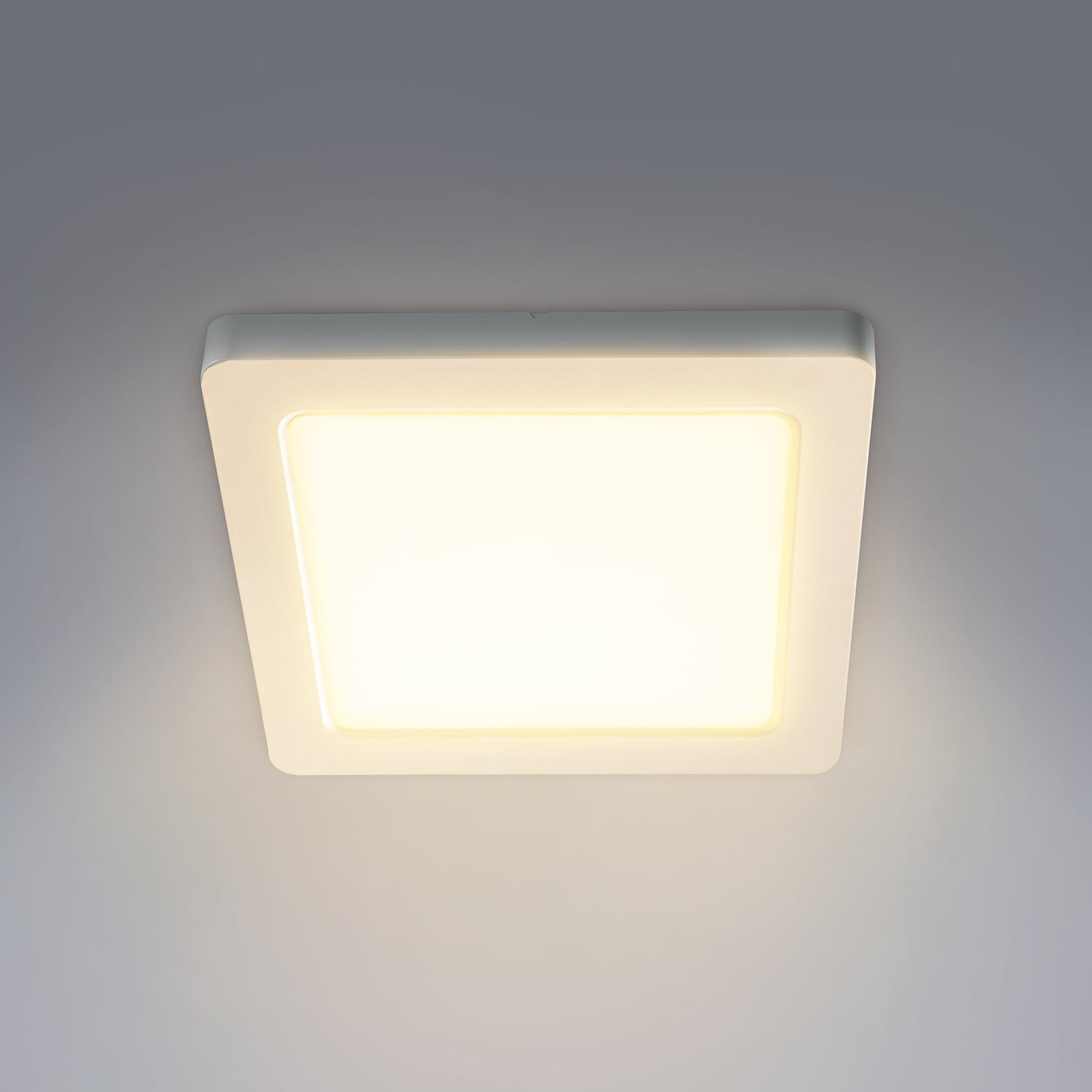 LED-panel Selesto kvadratisk dimbar hvit 16,4 cm lysbilde