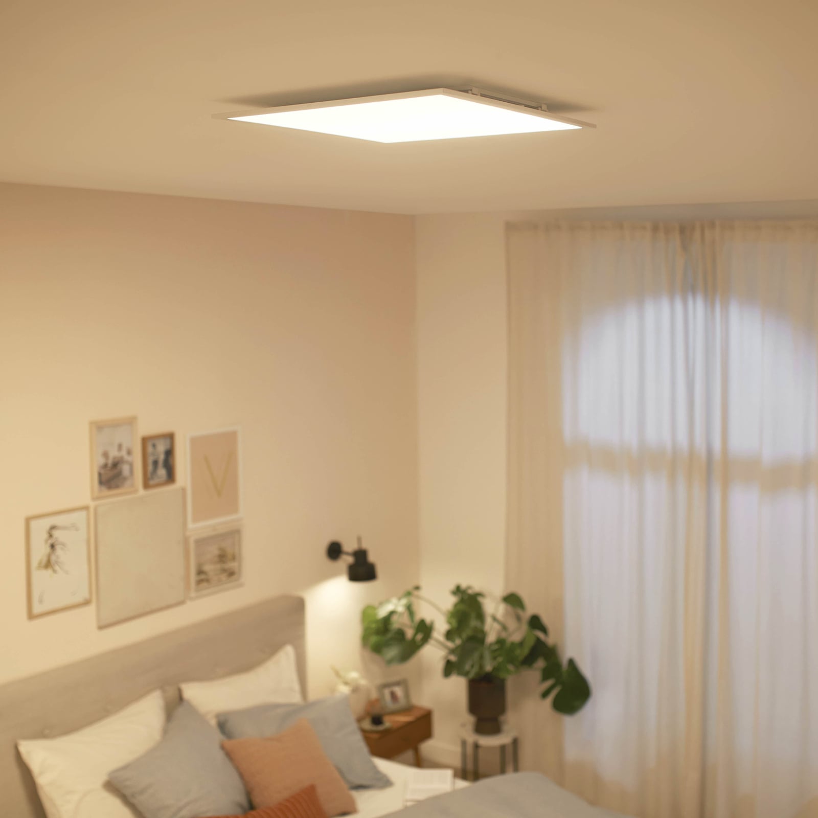 LED-panel Touch dimbar 62,8x62,8 cm 36W varmhvit hvit Philips bakside