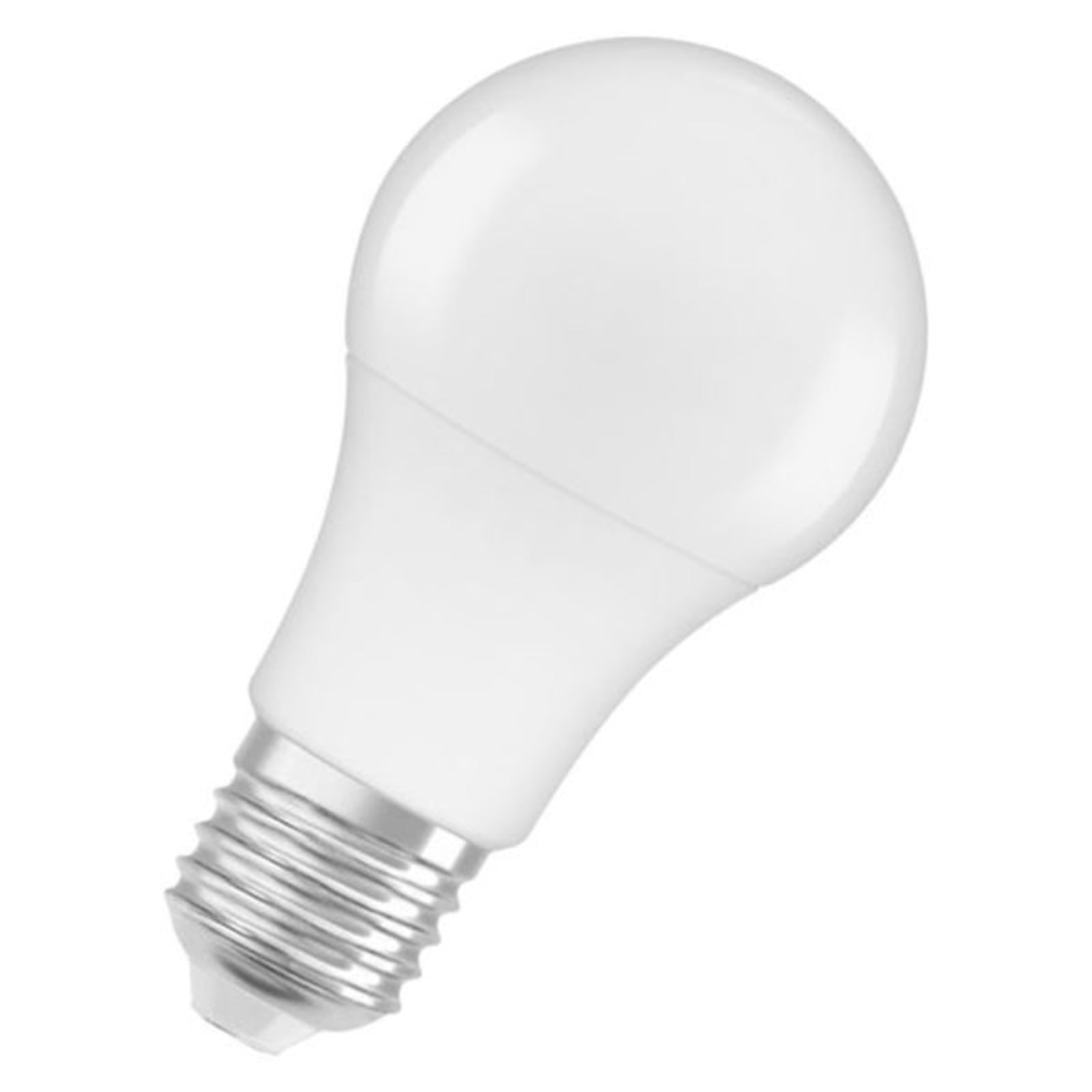 LED-pære E27 Classic A 8W 6500K kaldhvit matt OSRAM forfra