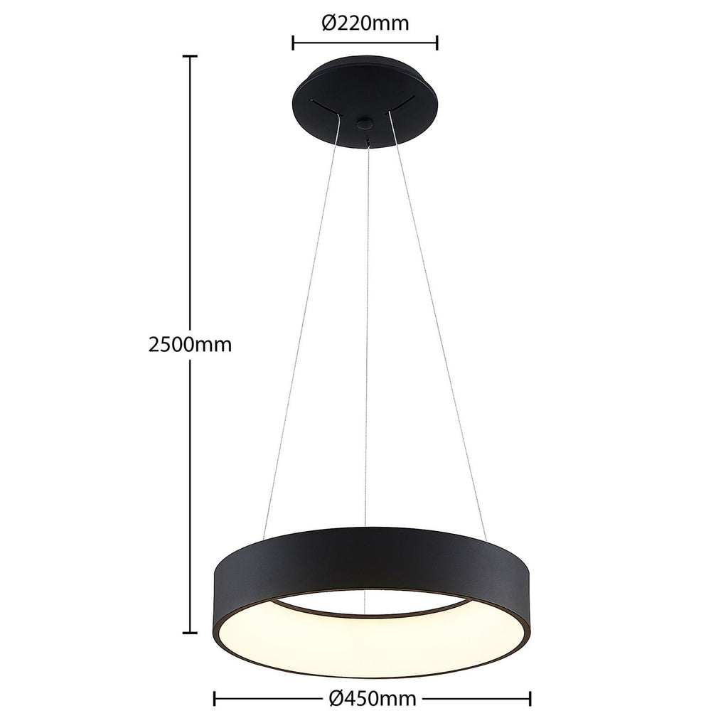 LED pendellampe Aleksi svart Ø45 cm CCT dimbar nærbilde av overflate