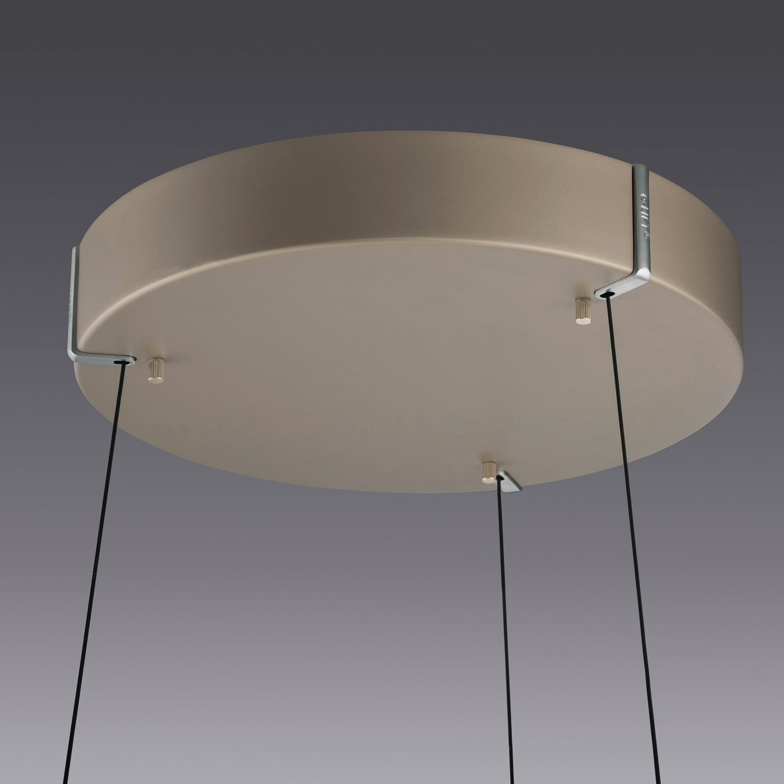LED pendellampe E-Loop bronse dimbar CCT Ø50 cm nærbilde