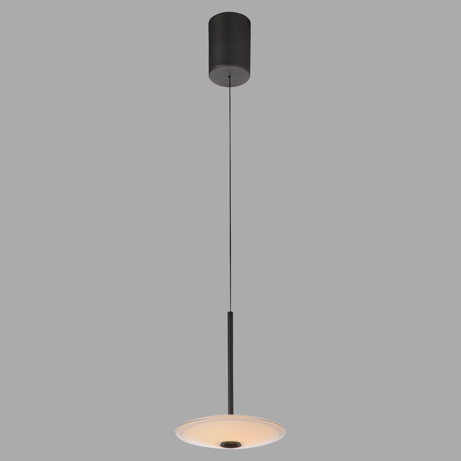 LED pendellampe Elipsa hvit/svart Ø20 cm dimbar nærbilde av glass