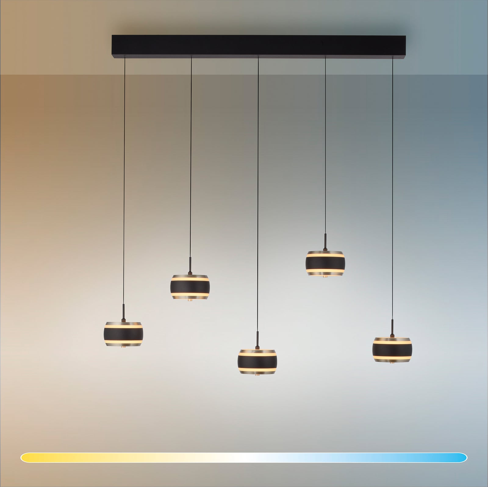 Fjernkontroll til LED pendellampe Falling Rings 5-lys dimbar CCT med fjernkontroll