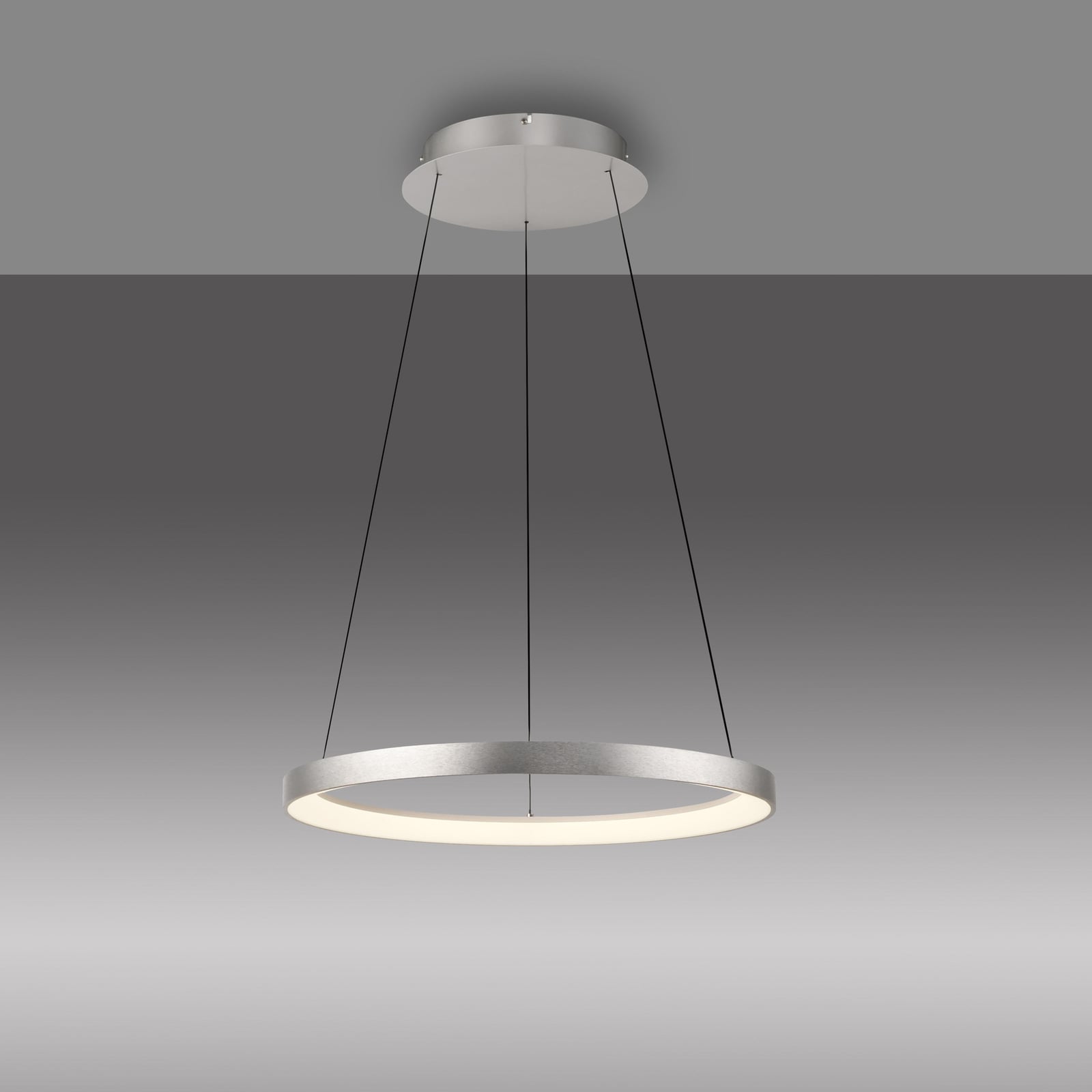Montert LED pendellampe Hoop aluminium Ø57 cm i rom