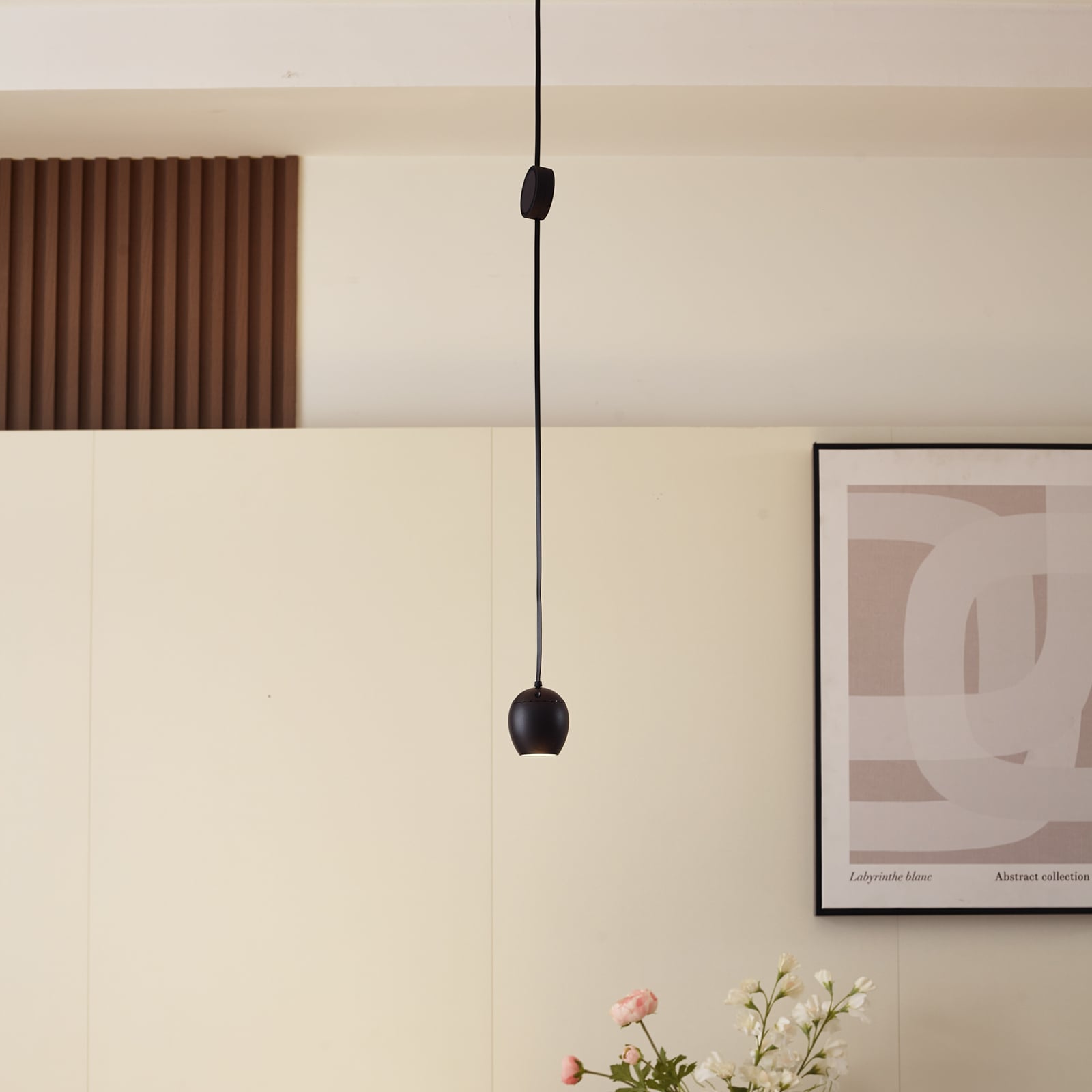 LED-pendellampe Lumaro 48V dimbar CCT svart bakside