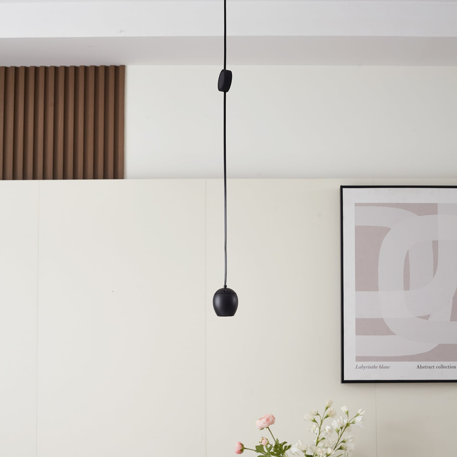 LED-pendellampe Lumaro 48V dimbar CCT svart detalj