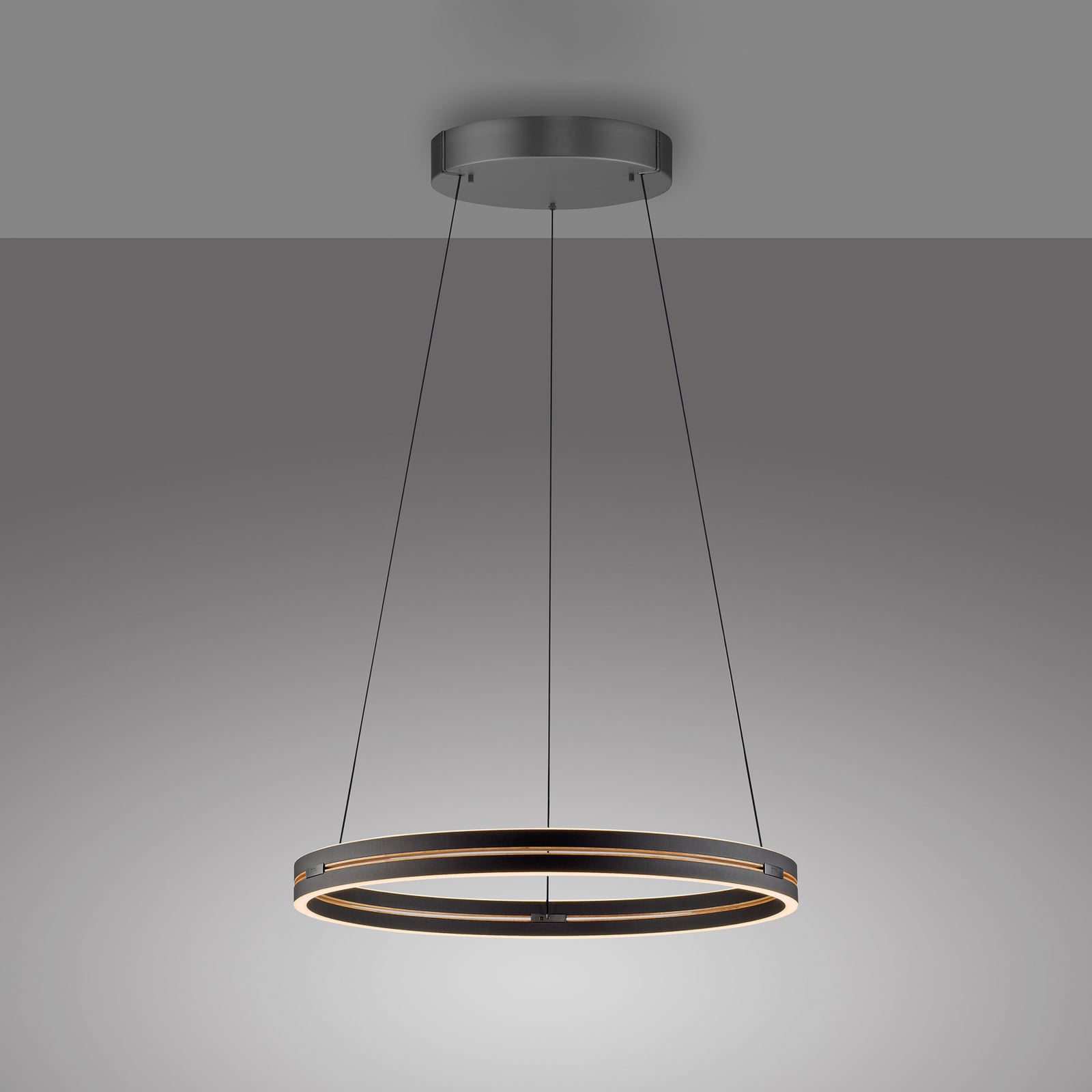 LED pendellampe PURE E-Loop aluminium Ø70 cm nærbilde av lys