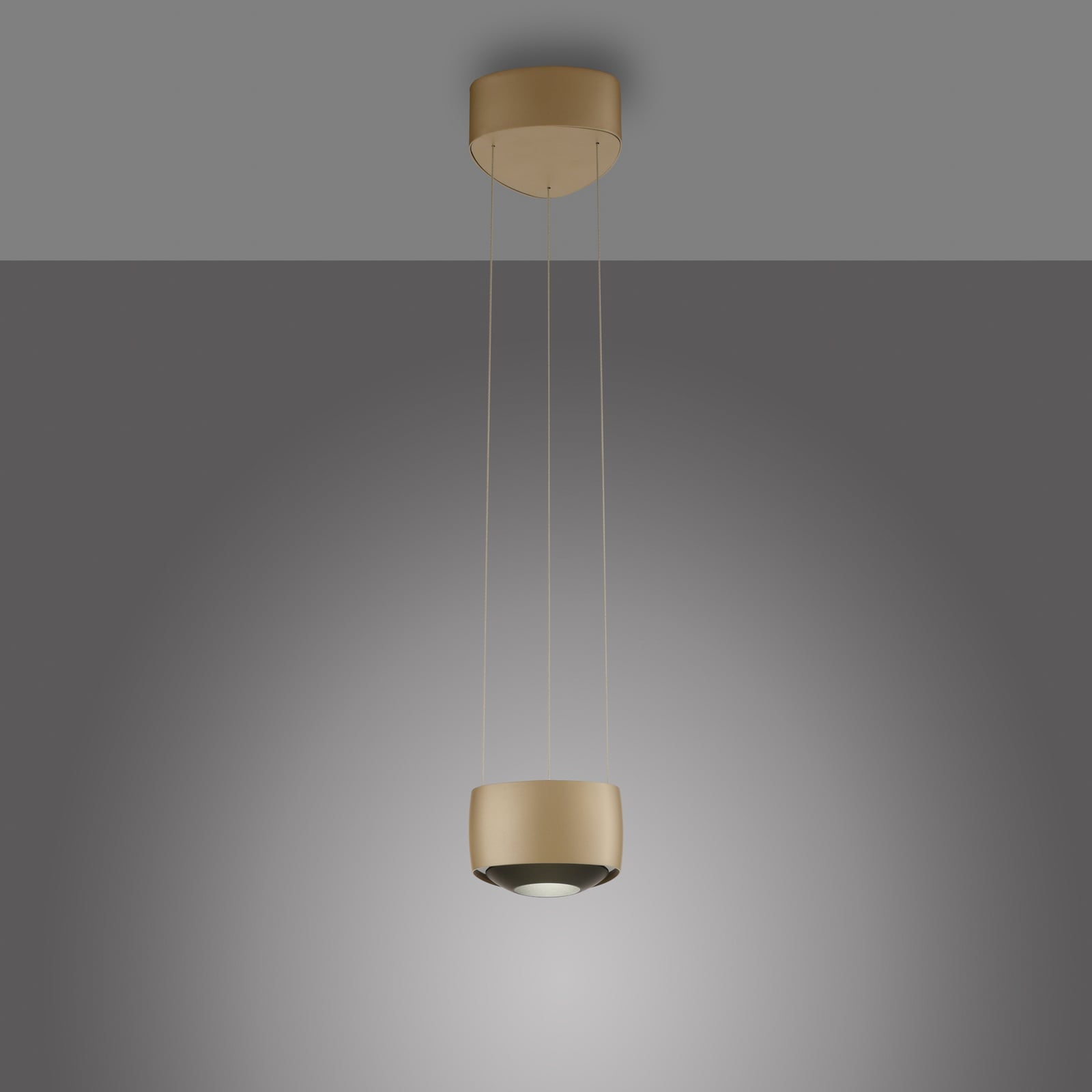 LED pendellampe Q-Stretto dimbar bronse Ø14,5 cm CCT nærbilde av fjernkontroll