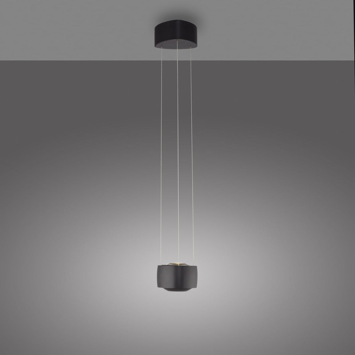 LED pendellampe Q-Stretto svart Ø14,5 cm nærbilde