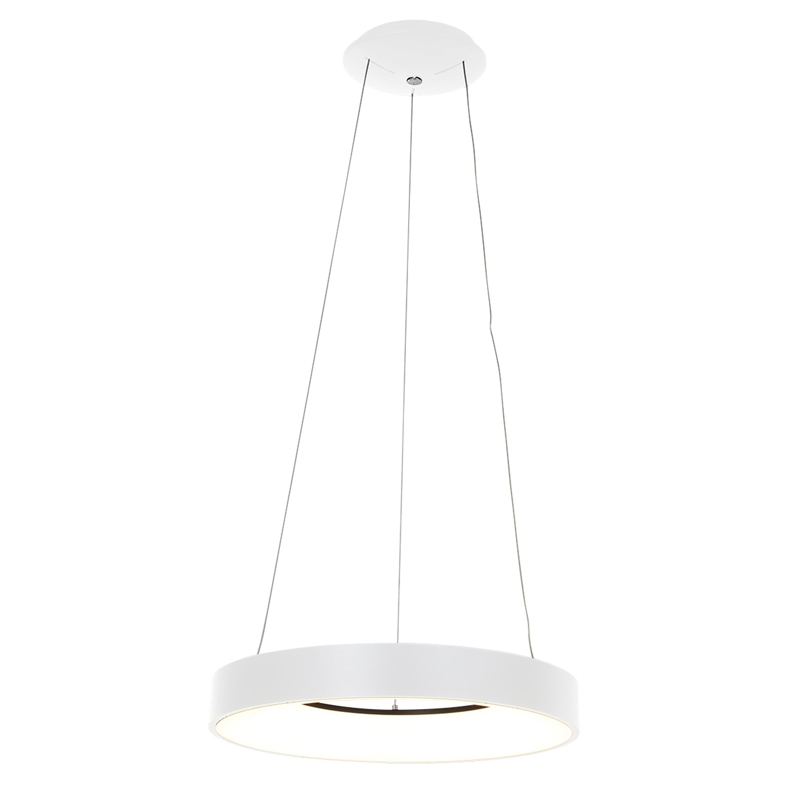 LED pendellampe Ringlede dimbar hvit Ø48 cm 40W bakside