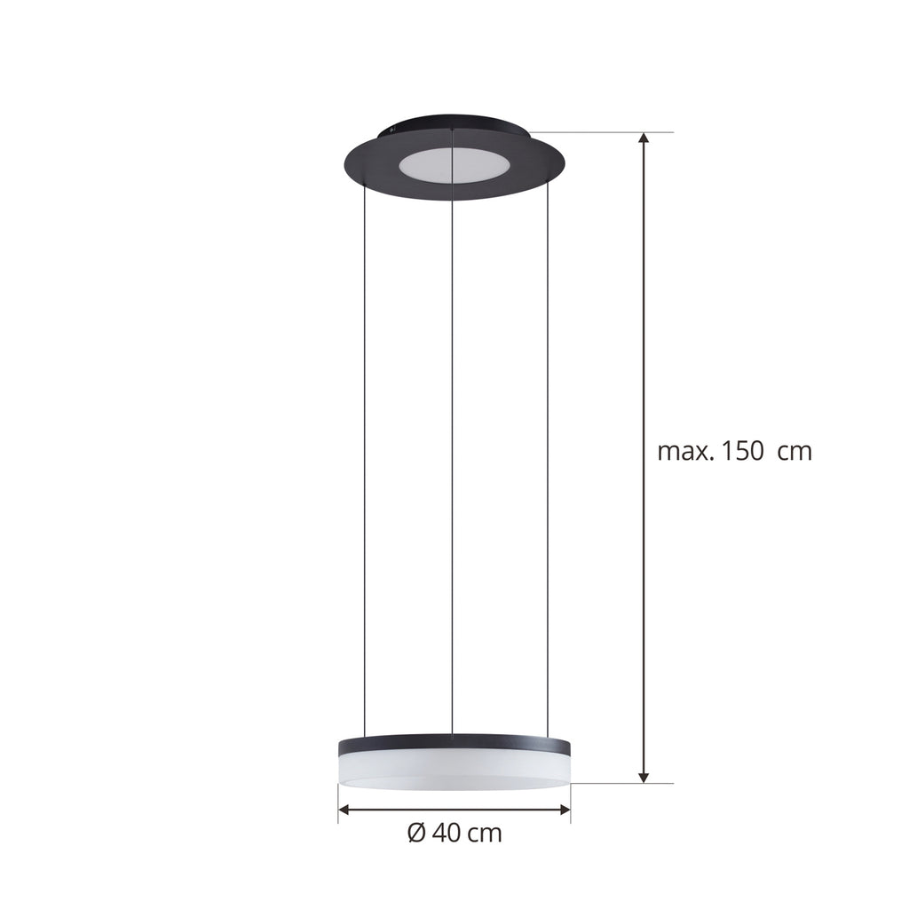LED pendellampe Squillo dimbar svart montert i rom