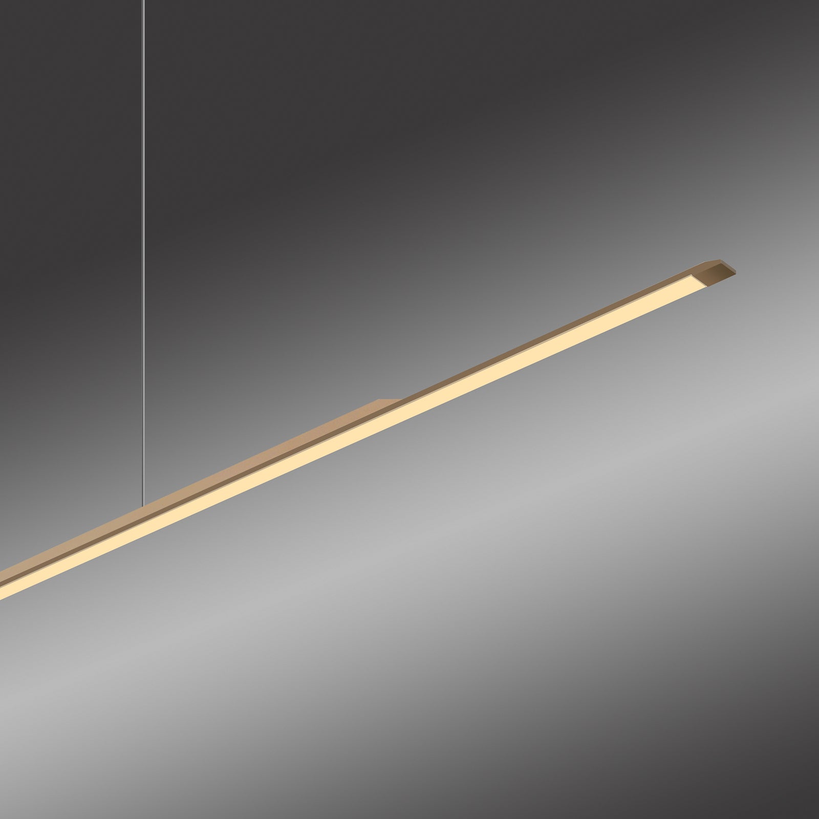 LED pendellampe Surface aluminium bronse 160 cm dimbar oppheng
