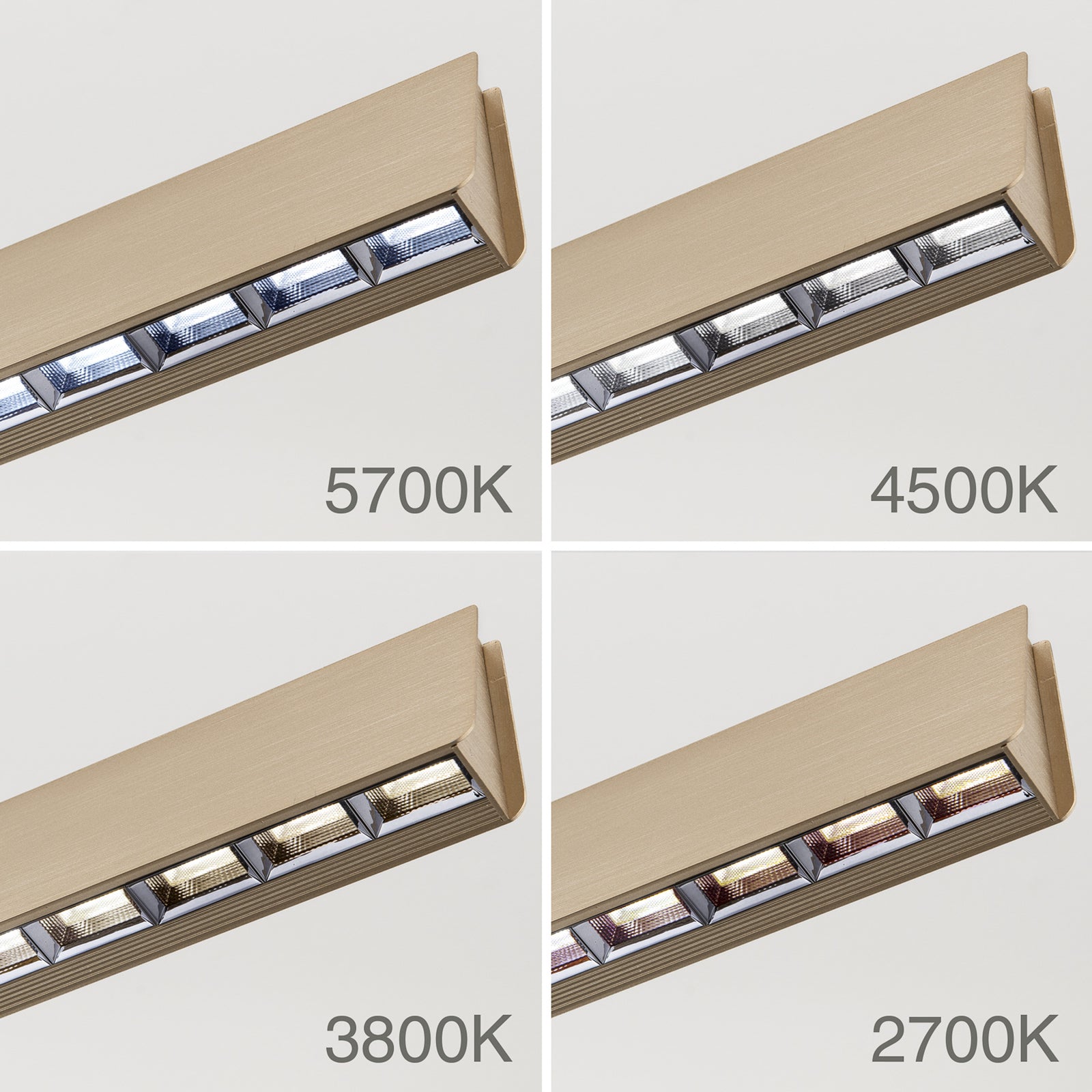 LED pendellampe Tara dimbar CCT matt messing 120 cm materialdetalj