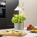LED plantelampe ISL-60028 hvit og tre foran