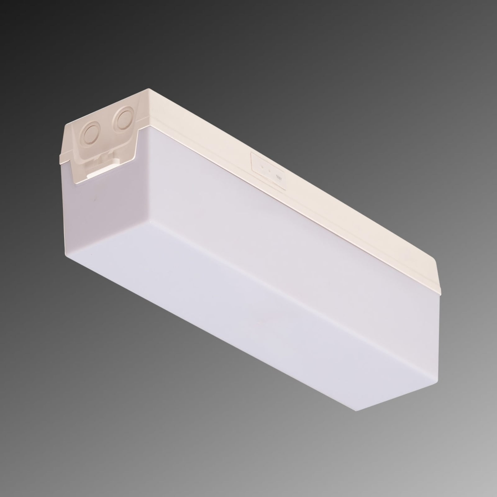 Detalj av LED rømningsskilt C-Lux Standard enkeltbatteri IP54