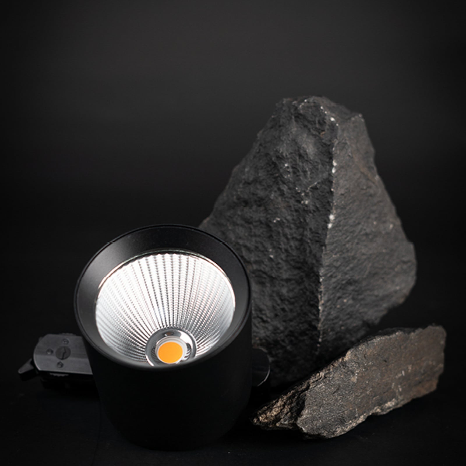 LED skinnespot Fox 3-fase svart 40W 3000K CRI90 bakside
