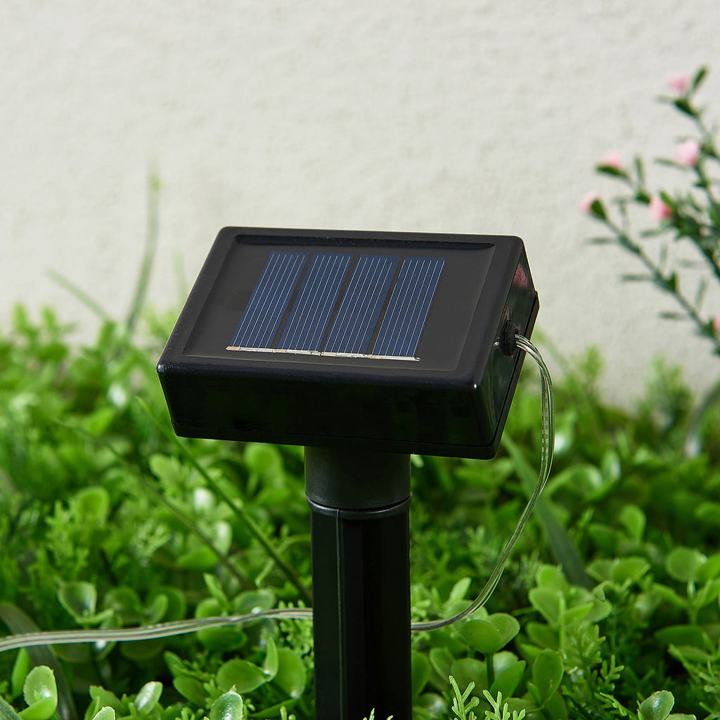 LED solcelle-lyslenke Lampini nærbilde av lys