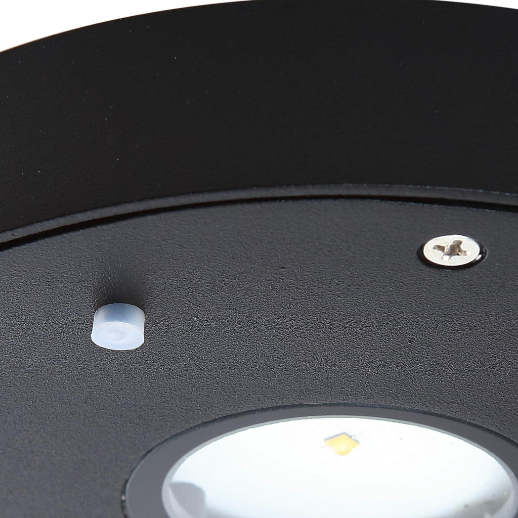 LED solcelle utevegglampe Tavon rund dimbar svart IP54 med lys på
