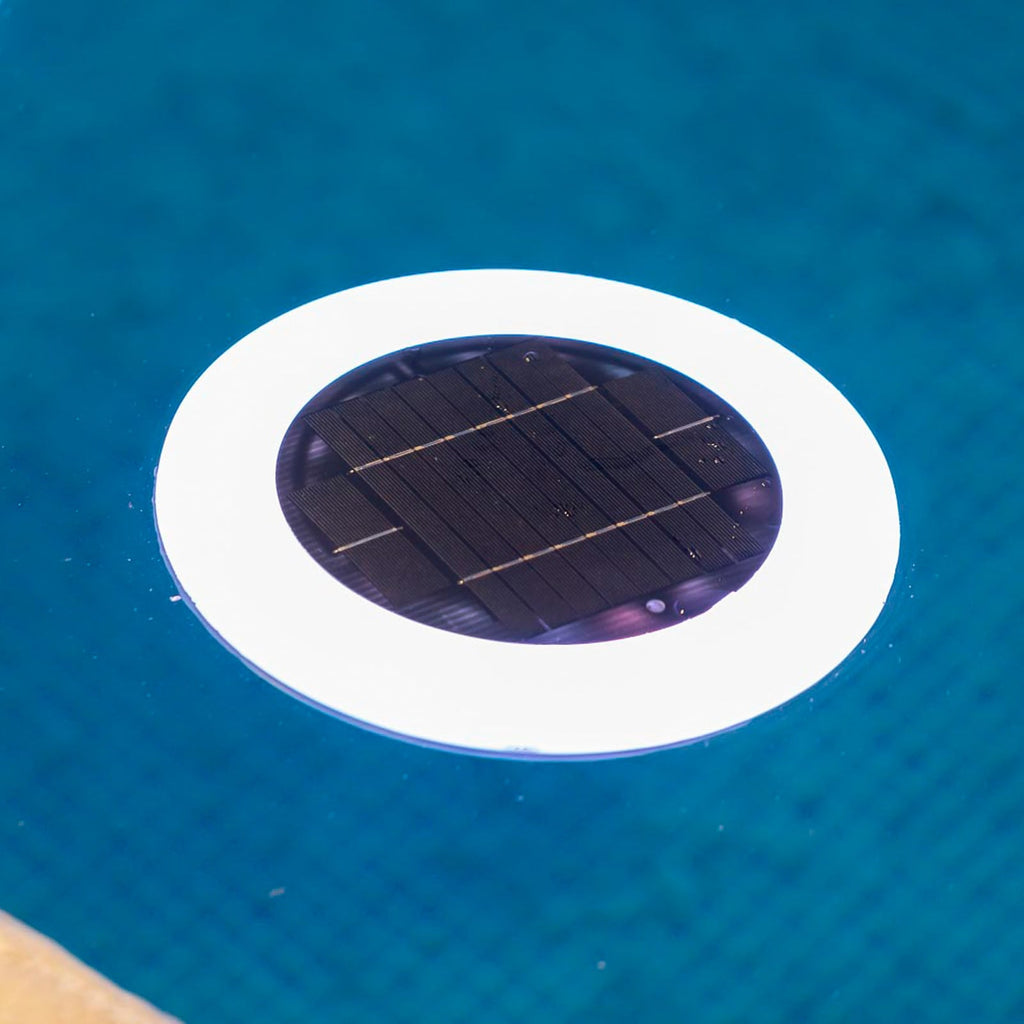 Bakside av LED solcelledrevet bassenglys Papaya IP68 RGBW dimbar Ø29 cm