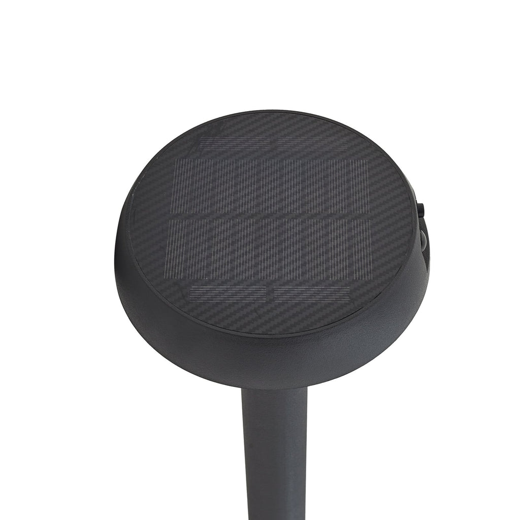 LED solcellelampe Brinca med bevegelsessensor svart IP44 med jordspyd