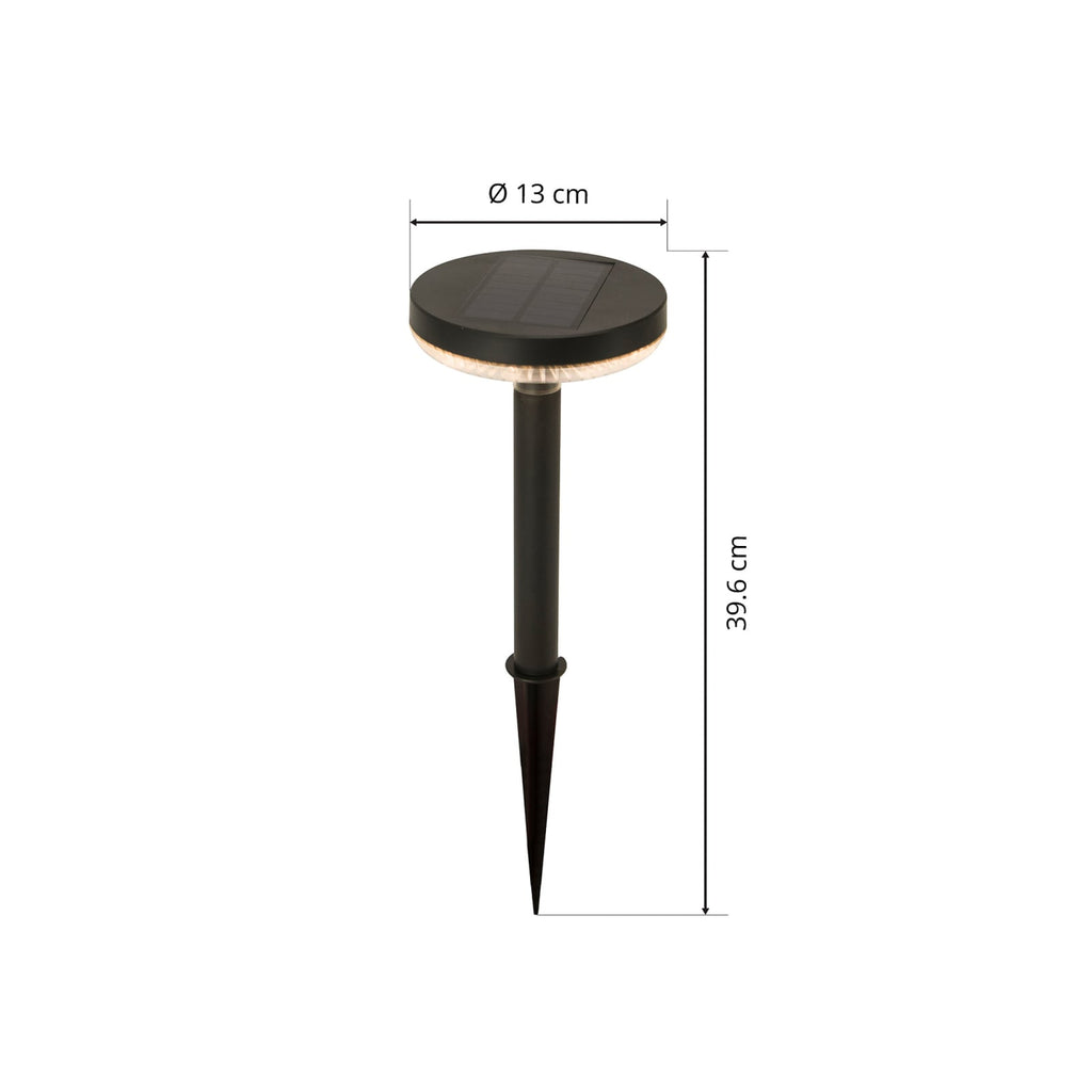 LED solcellelampe Glenios med spyd svart i gress