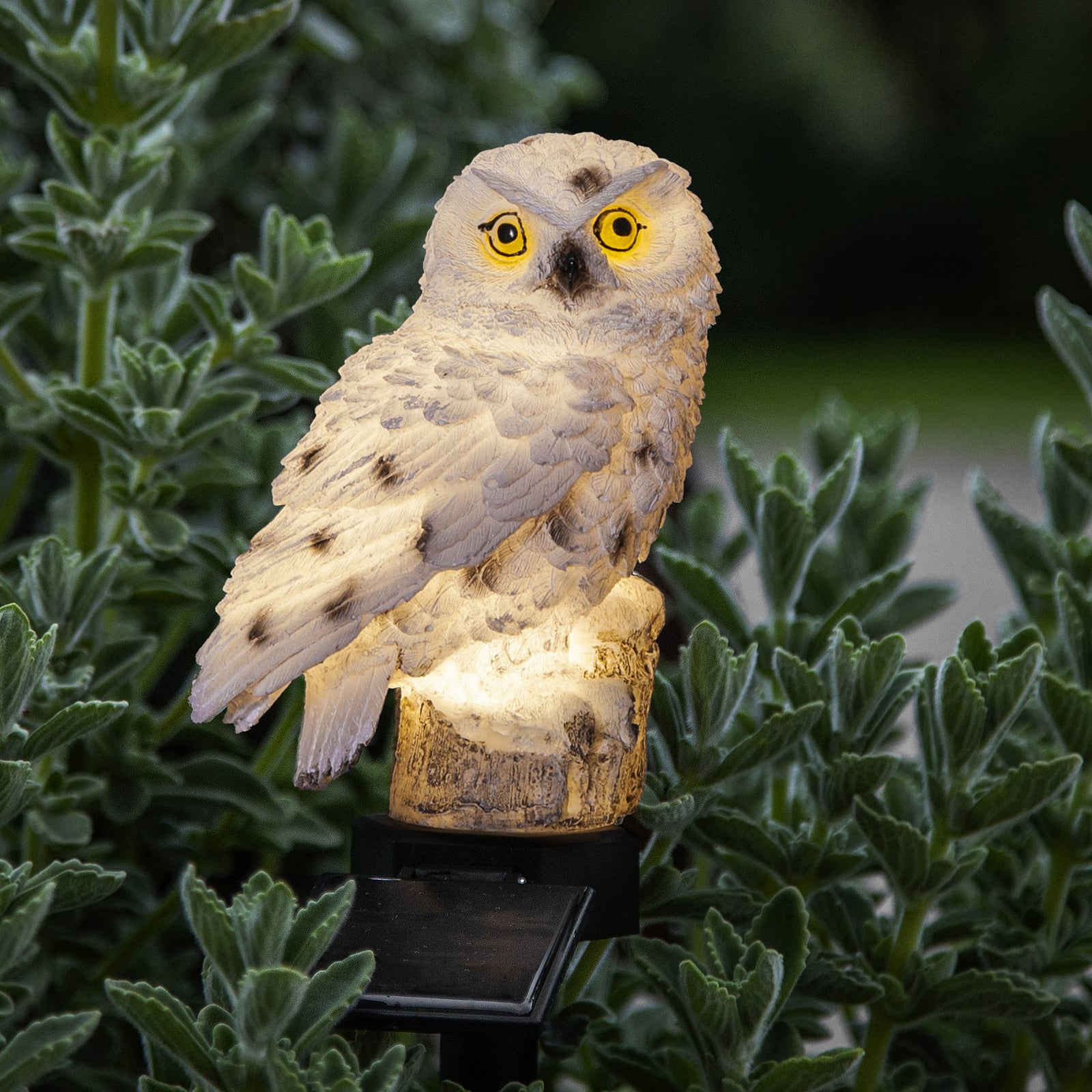 LED solcellelampe Owl med jordspyd for utendørsbruk