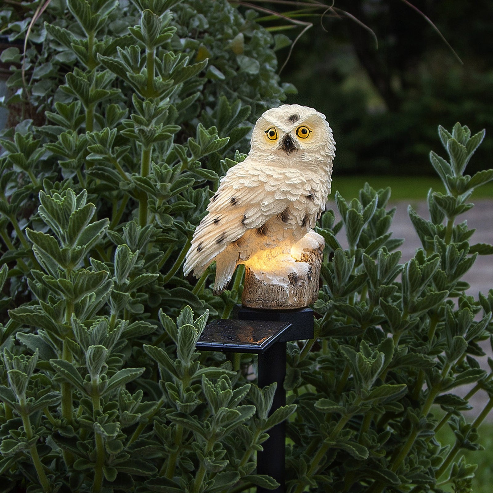 Montert LED solcellelampe Owl med jordspyd i hagen