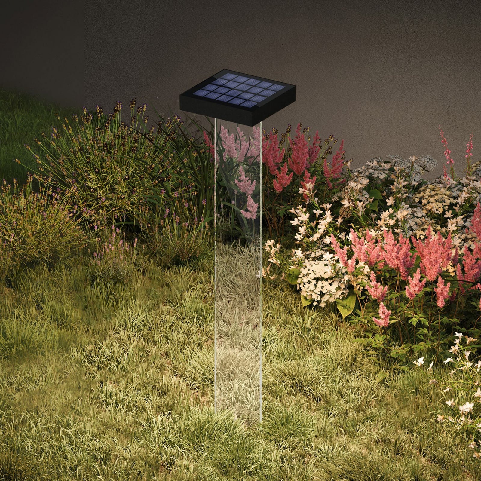 LED solcellelampe Scotty klar/antrasitt forfra