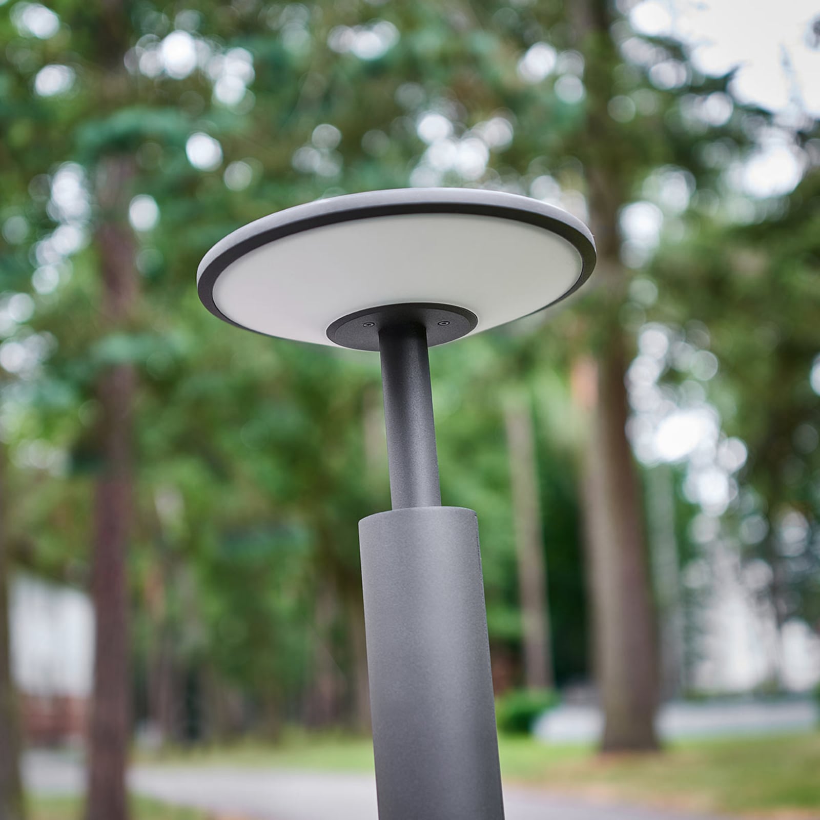 LED sti-lampe Fenia antrasitt sideprofil