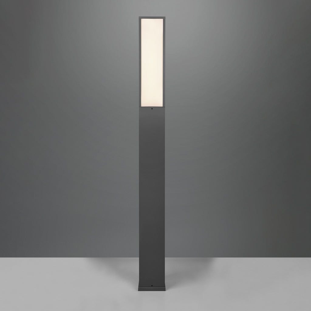 LED sti-lampe Fuerte antrasitt aluminium 155 cm IP54 nærbilde lyskilde