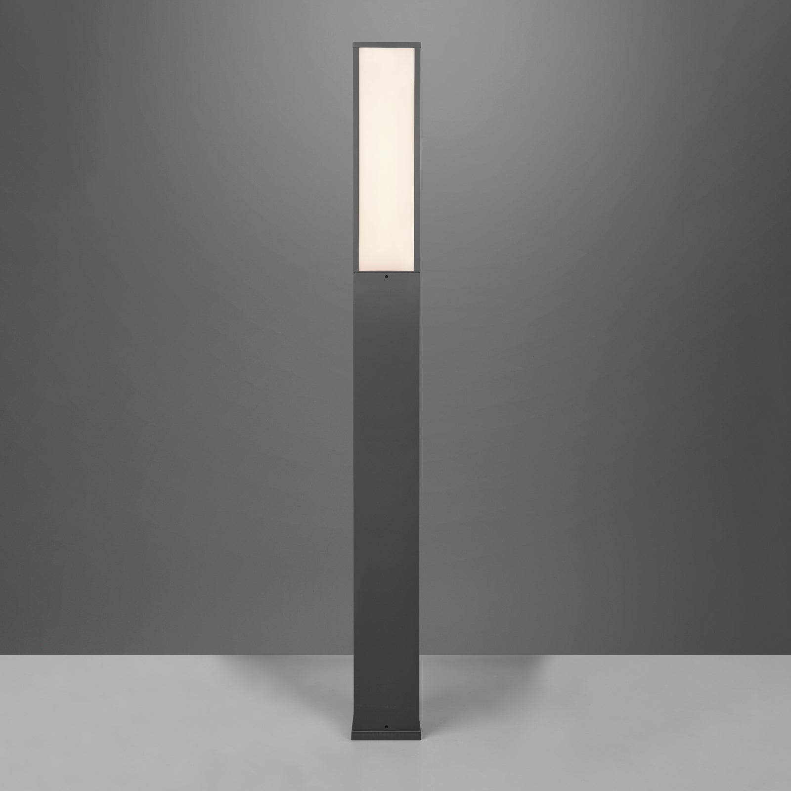 LED sti-lampe Fuerte antrasitt aluminium 155 cm IP54 nærbilde lyskilde