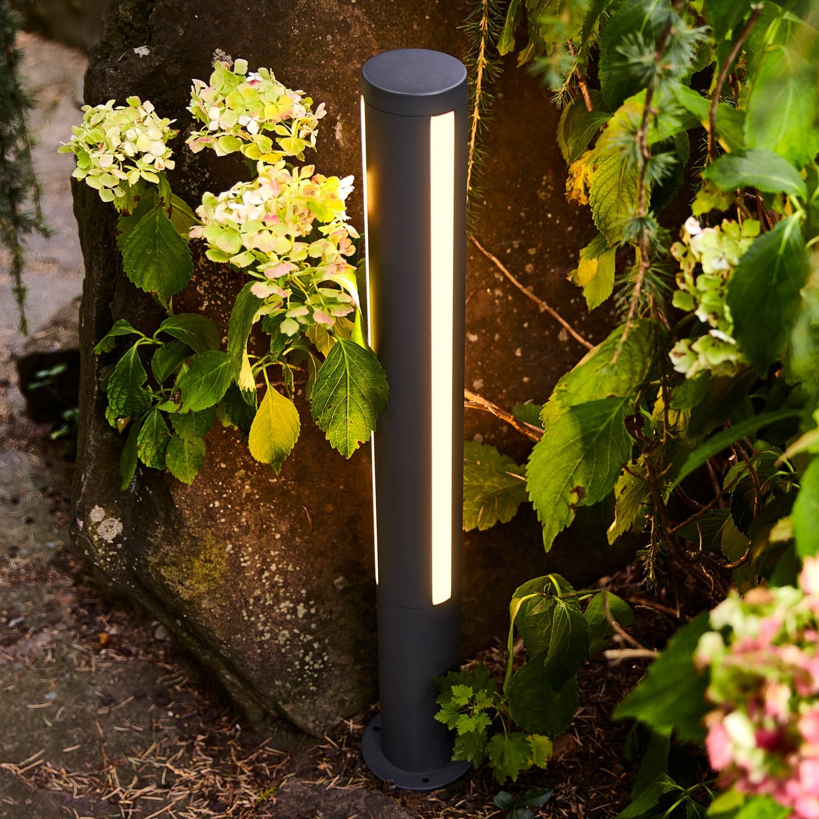 LED sti-lampe Lilia grafitt aluminium 75 cm detalj av lysutslipp