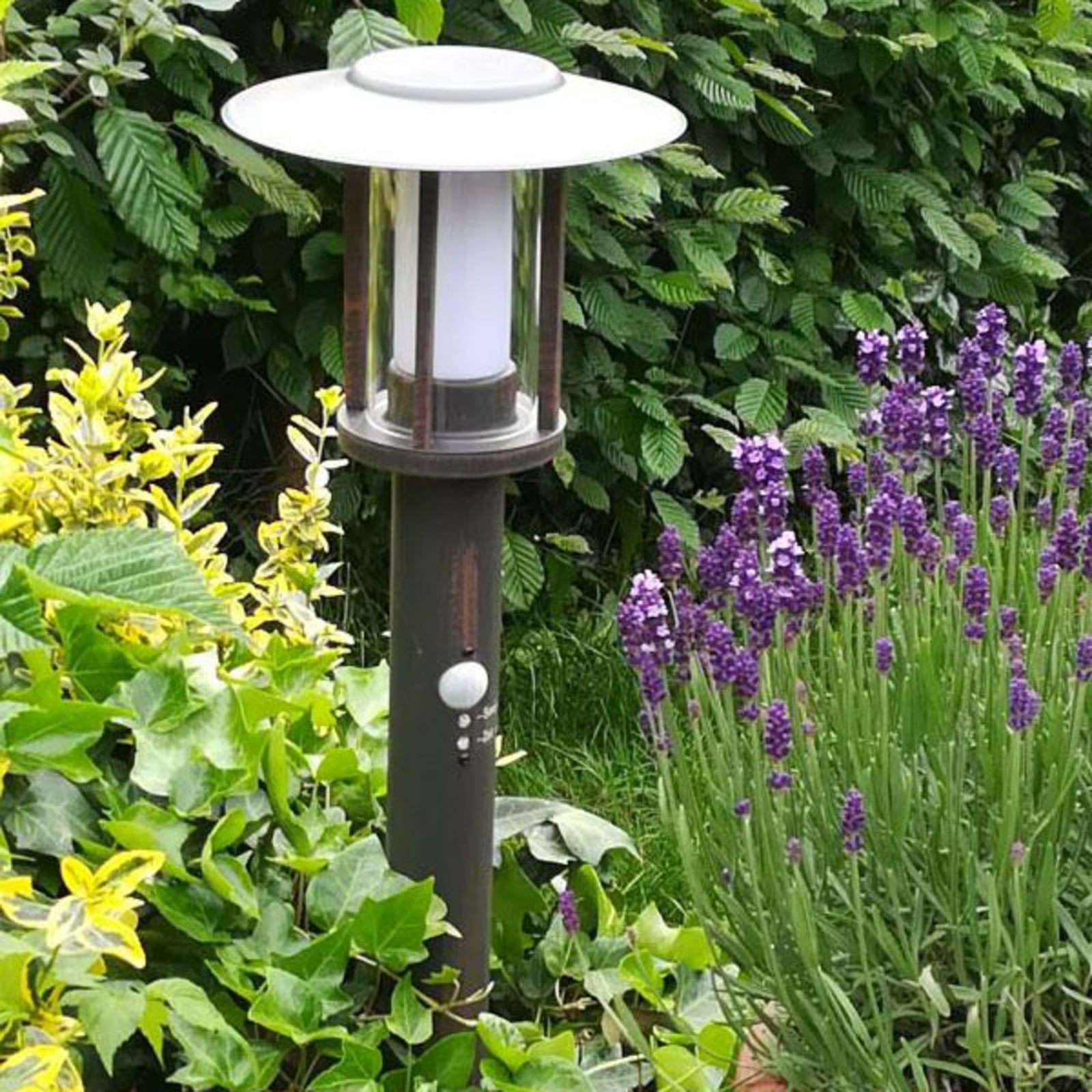 LED stolpelampe Pavlos rustfarget 55 cm på gangvei