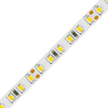 LED-stripe dimbar varmhvit 500 cm 48W 2700K - EVN forfra