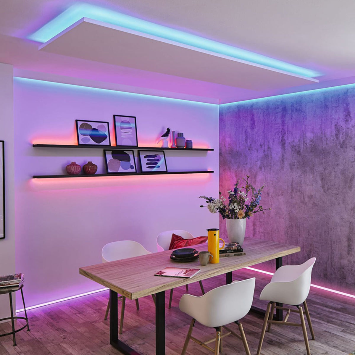 LED-stripe MaxLED 250 basissett 3 m RGBW med fjernkontroll bakside