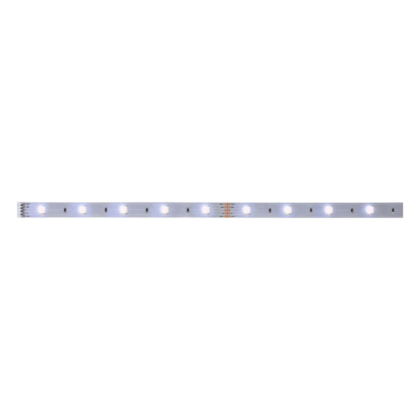 LED-stripe MaxLED 250 dimbar CCT IP20 100 cm selvklebende bakside