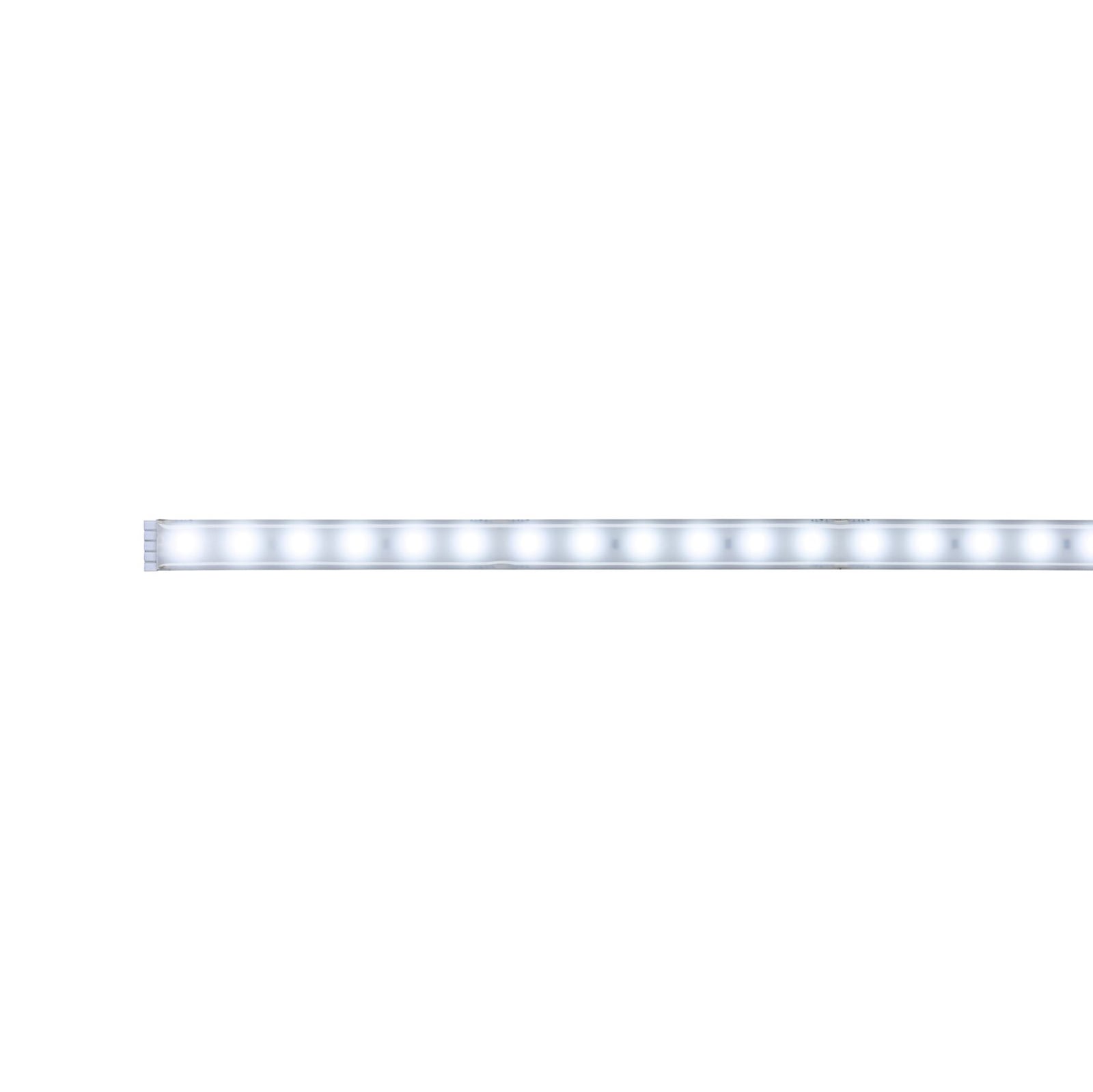 LED-stripe MaxLED 500 kaldhvit 100 cm IP44 forfra