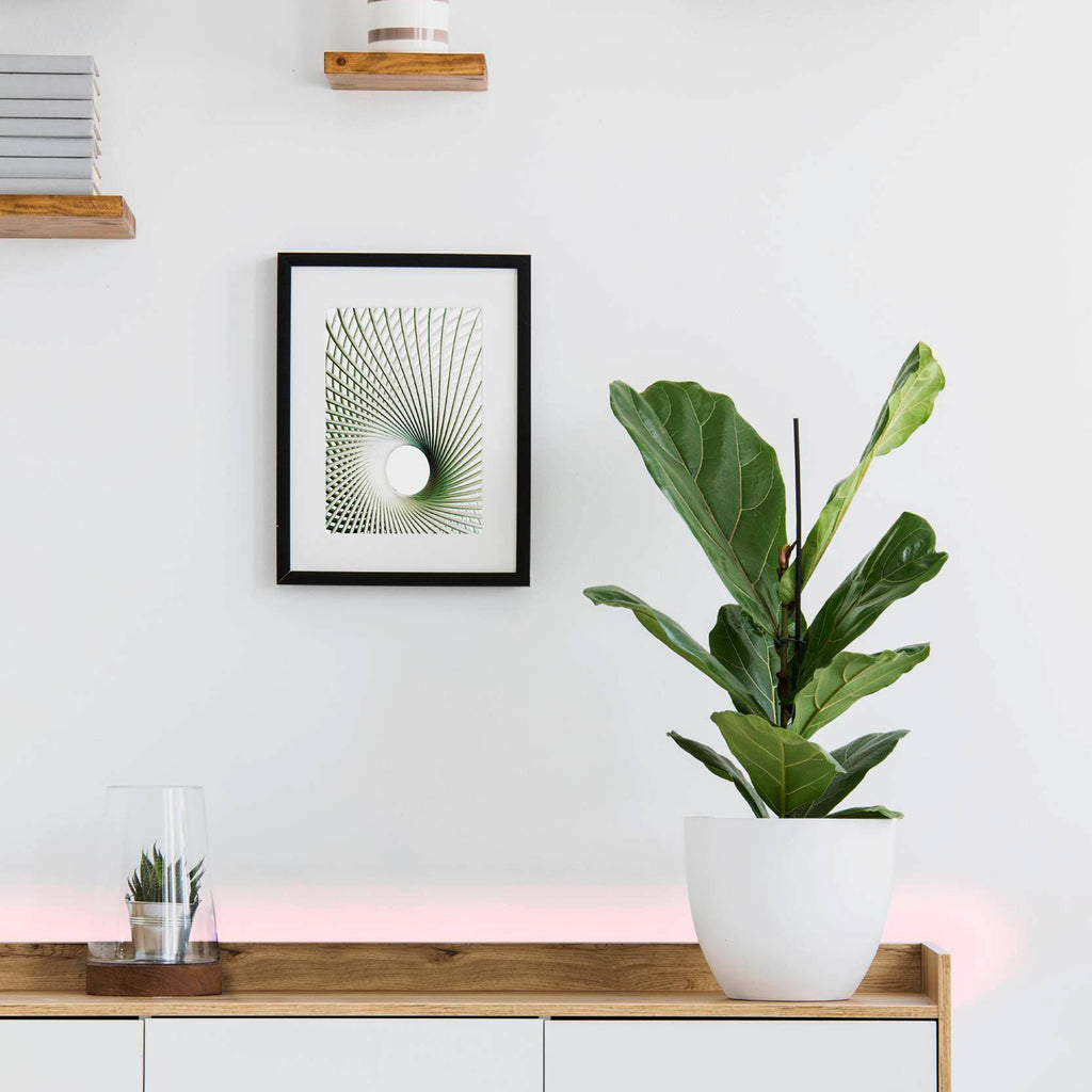 LED-stripe Stripe-C RGBW Bluetooth dimbar 300 cm bakside